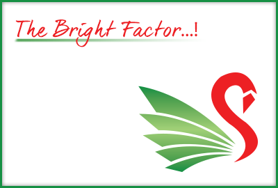 The Bright Factor